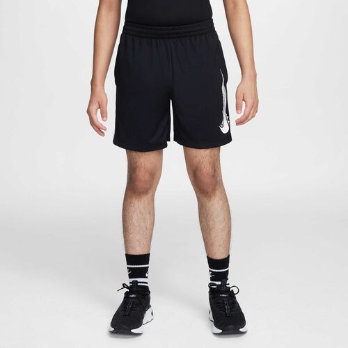 Nike Shorts Multi