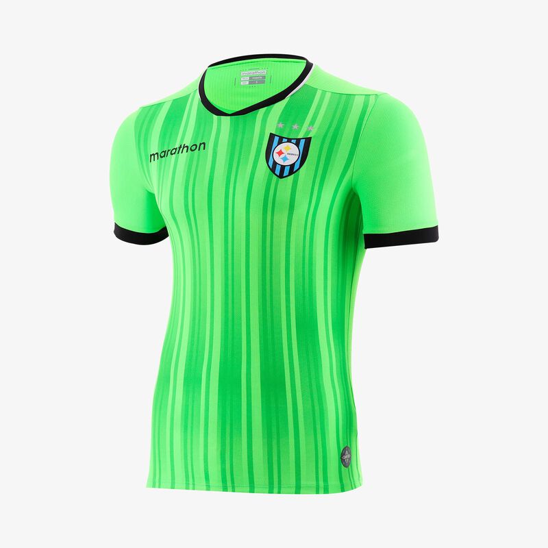 Camiseta Alterna 2 Huachipato 2026, VERDE, hi-res image number null