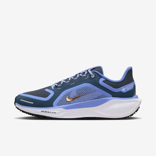 Nike Pegasus 41 Gore-Tex