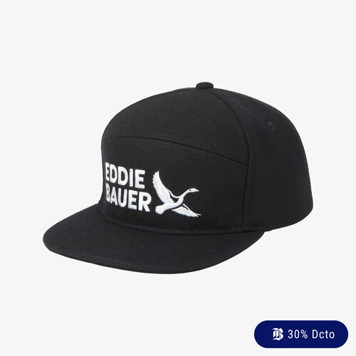 Eddie Bauer Wool Graphic