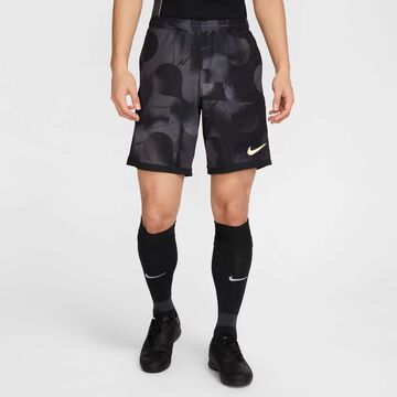 Nike Shorts Academy+
