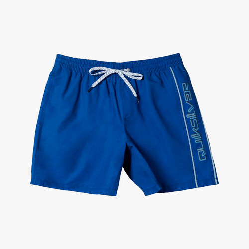 Quiksilver Everyday Vert Volley 17" Swim Shorts