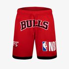 NBA Short Front Logo Bulls, ROJO, hi-res