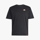 adidas Polera Lounge Mini Embroidery Graphic, NEGRO, hi-res