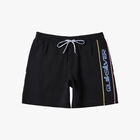 Quiksilver Everyday Vert Volley 17" Swim Shorts, SURTIDO, hi-res