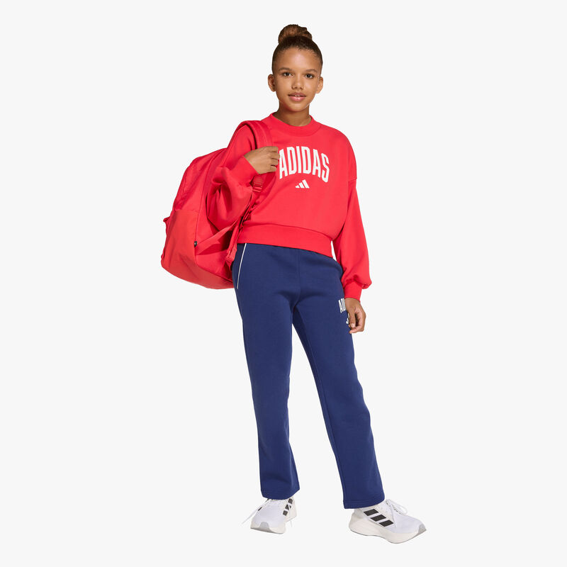 adidas Poler&oacute;n Essentials Ni&ntilde;as, ROJO, hi-res image number null