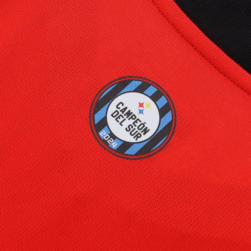 Camiseta Alterna 2 Huachipato 2024, ROJO, hi-res image number null