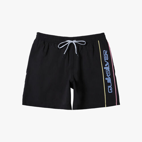 Quiksilver Everyday Vert Volley 17" Swim Shorts