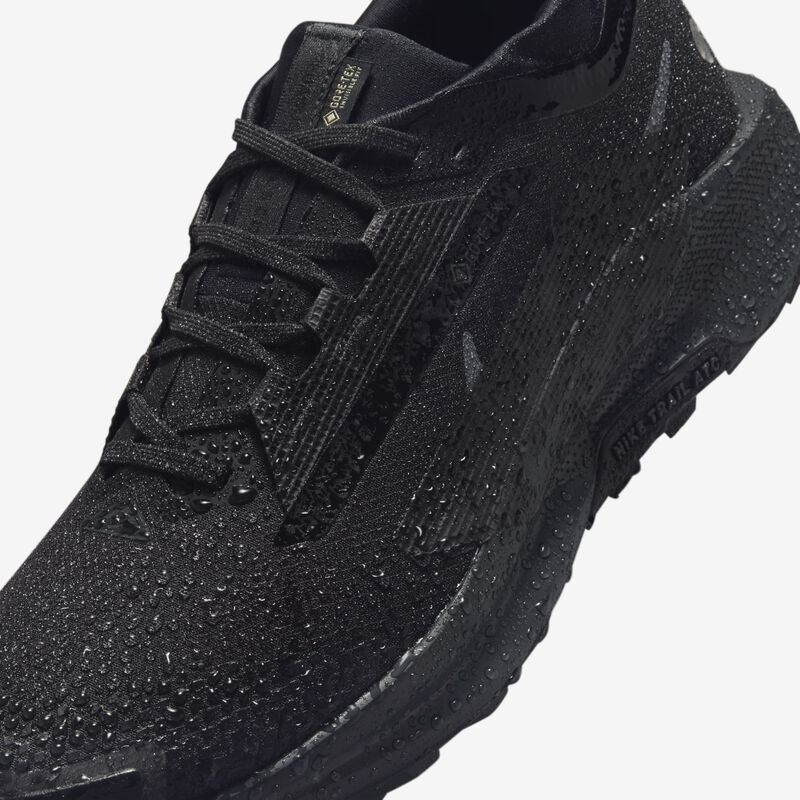 Nike Pegasus Trail 5 GORE-TEX, NEGRO, hi-res image number null