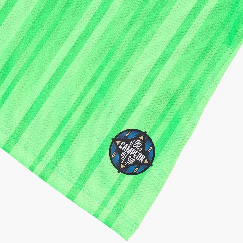 Camiseta Alterna 2 Huachipato 2026, VERDE, hi-res image number null