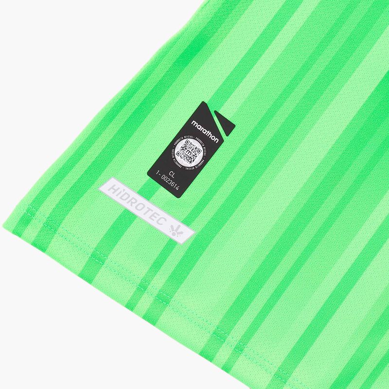 Camiseta Alterna 2 Huachipato 2026, VERDE, hi-res image number null