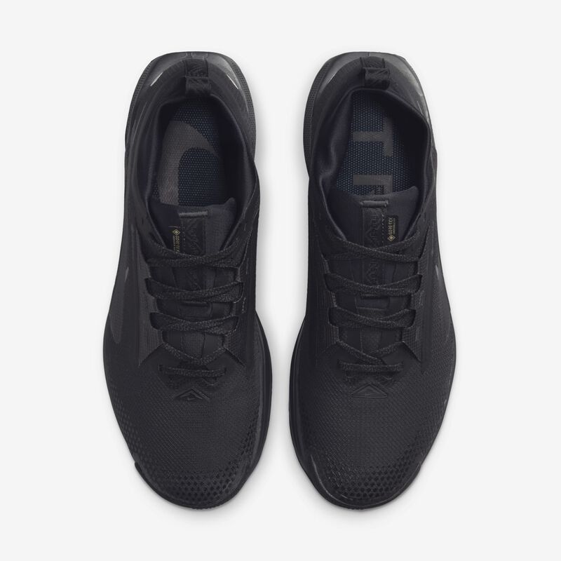 Nike Pegasus Trail 5 GORE-TEX, NEGRO, hi-res image number null