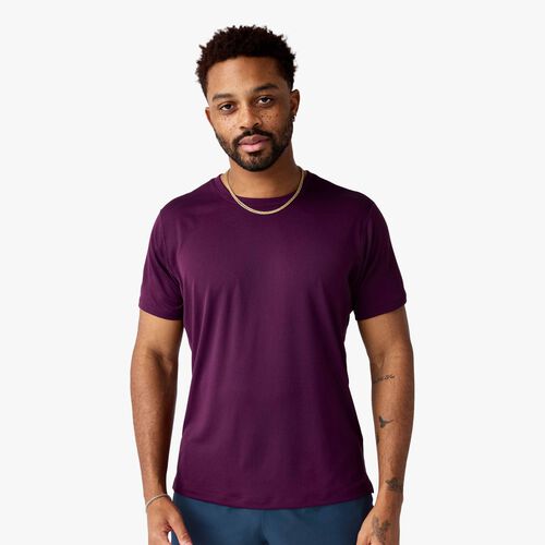 Brooks Polera Dash