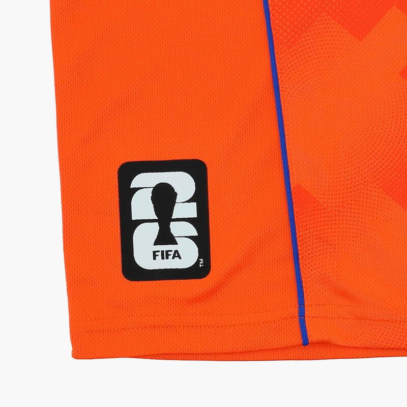 FIFA Polera Mundial 2026 Pa&iacute;ses Bajos, GRIS, hi-res image number null