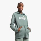 Puma Poler&oacute;n Essentials 2 Colour No. 1, VERDE, hi-res