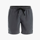 Quiksilver Shorts Everyday Surfwash Volley 17", SURTIDO, hi-res