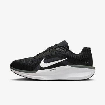 Nike Zapatillas Winflo 11