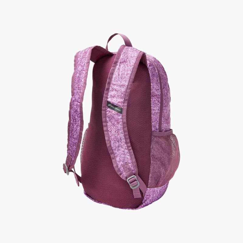 Eddie Bauer Stowaway Packable 20L Daypack, SURTIDO, hi-res image number null