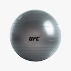 UFC Pelota Fitball 55 cm, GRIS, hi-res
