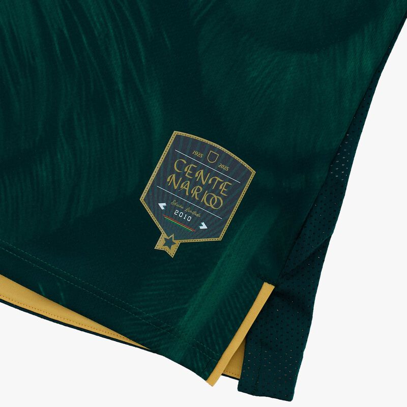 Camiseta FBF Oficial 100 años Versión Jugador, VERDE, hi-res image number null