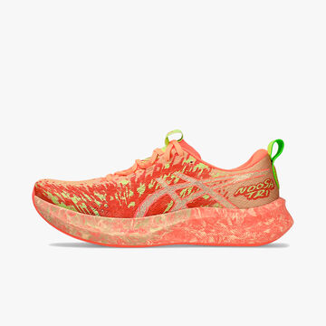 Asics Zapatillas Noosa Tri 16