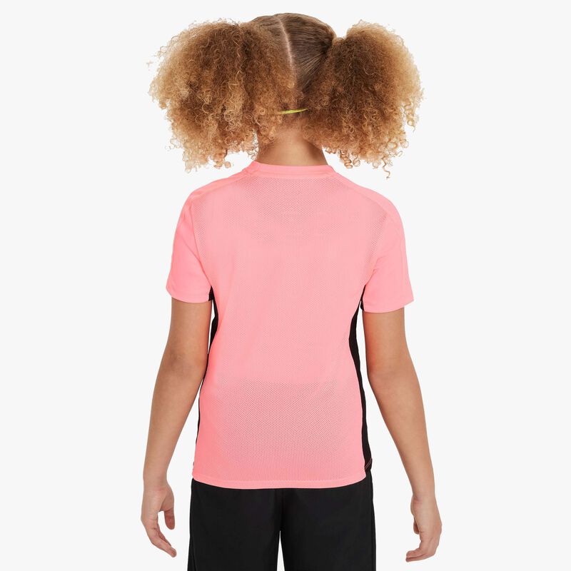 Nike Camiseta Dri-FIT Academy23, ROJO, hi-res image number null