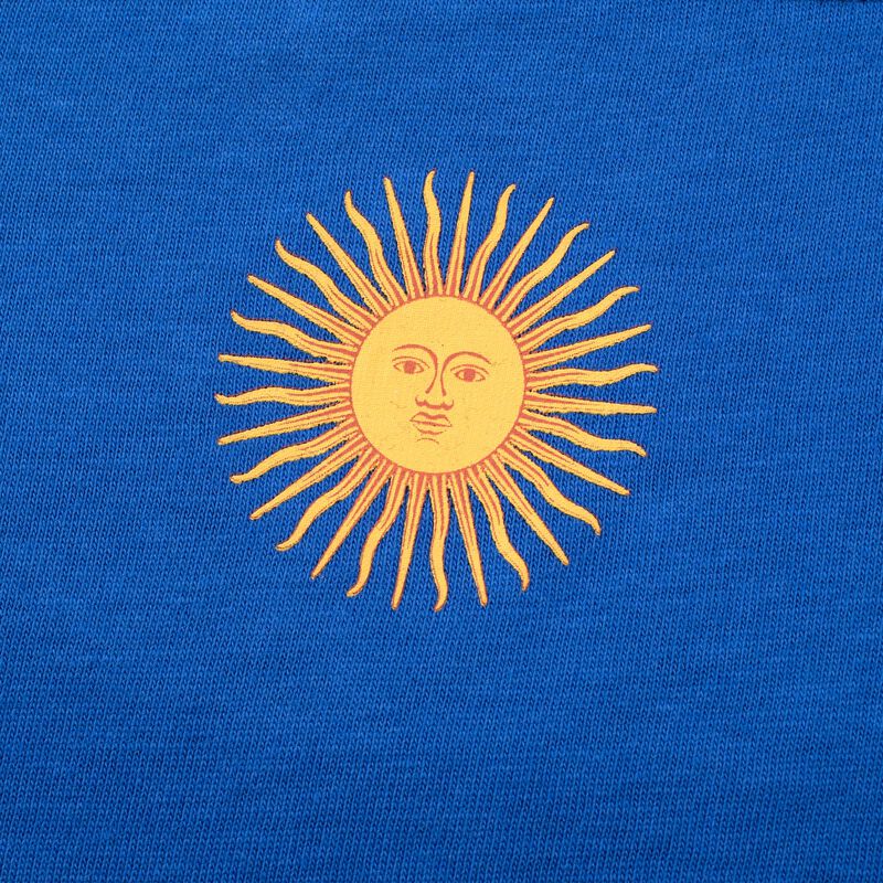 AFA Camiseta Argentina Player, AZUL, hi-res image number null