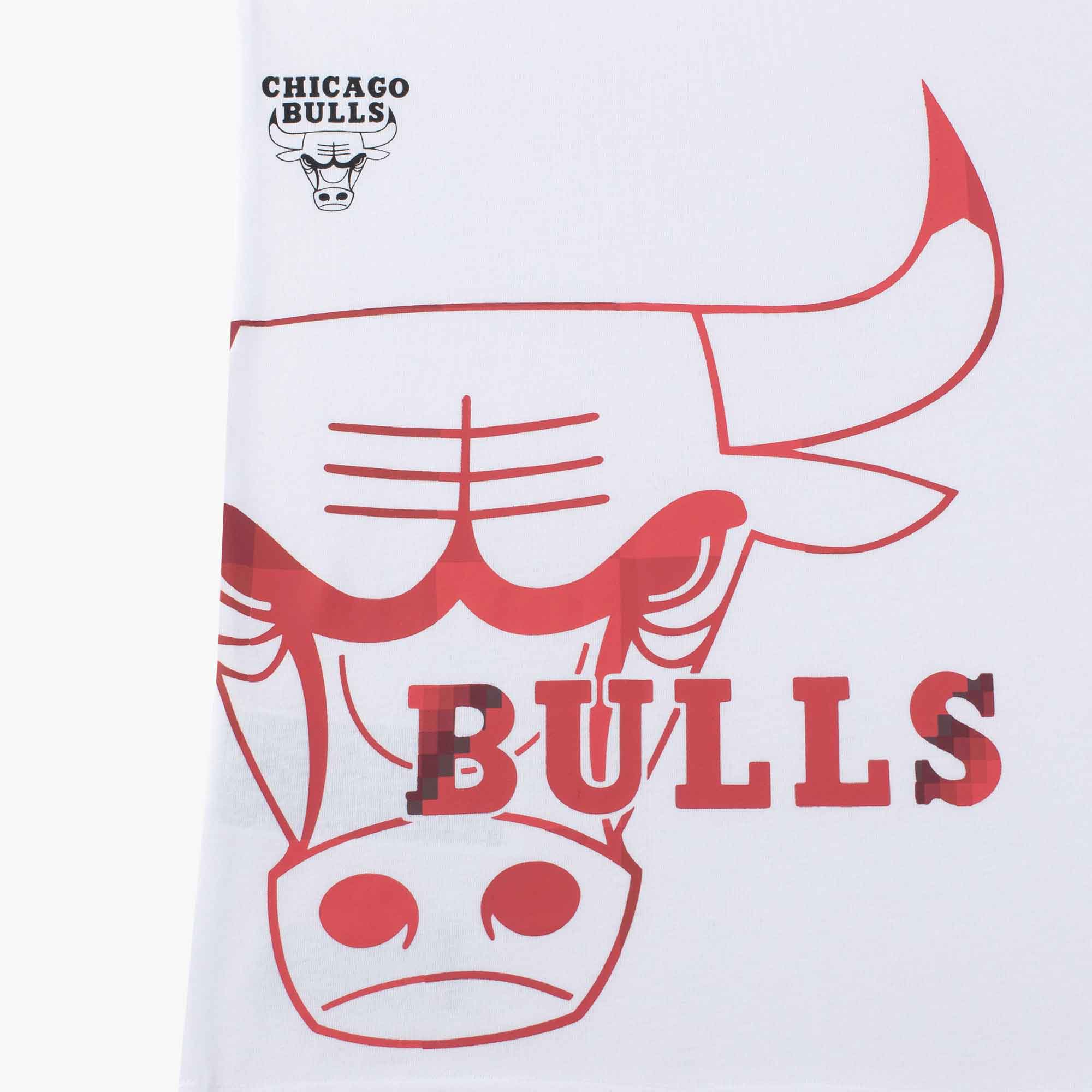 NBA Polera Chicago Bulls, BLANCO, hi-res