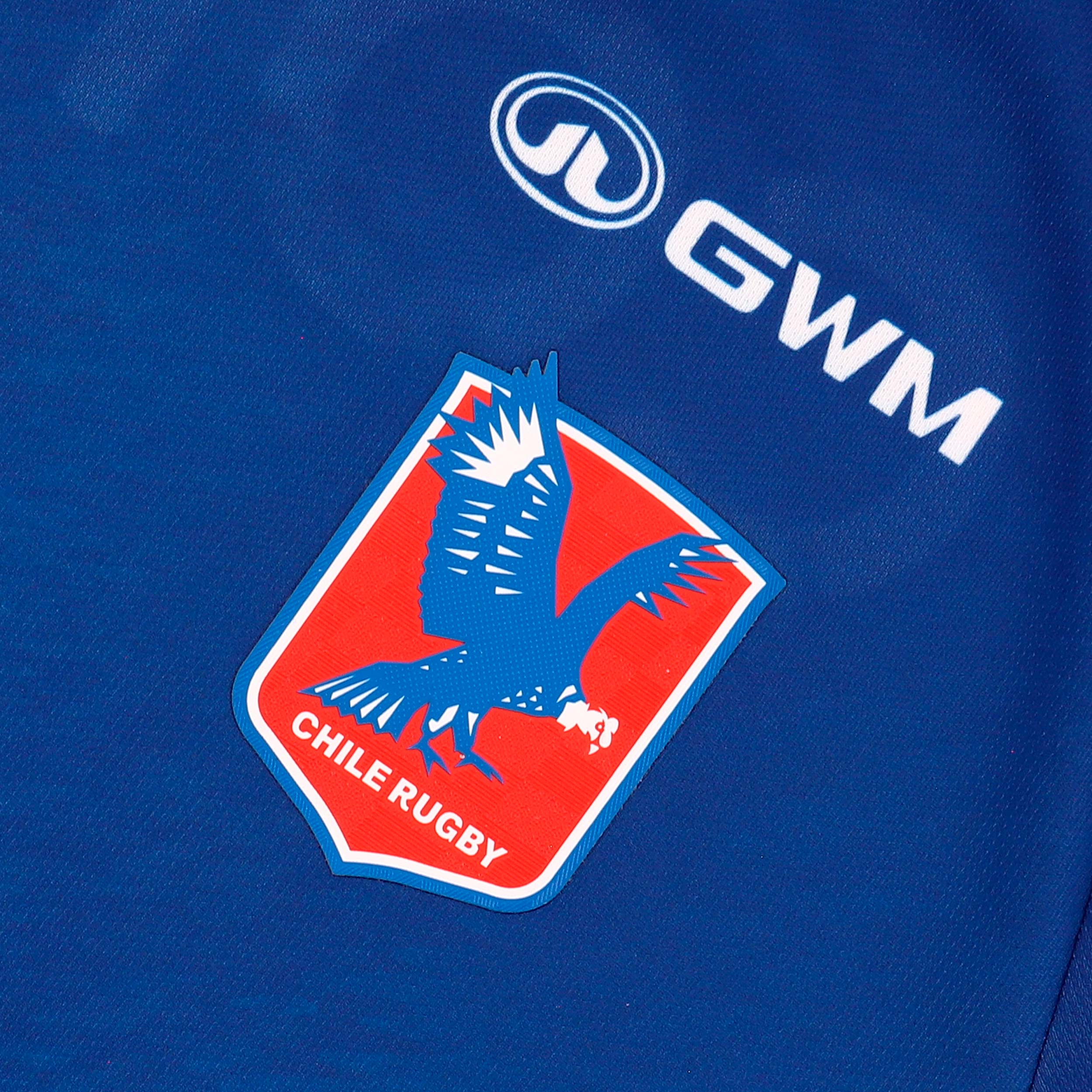 Camiseta Alterna Los Cóndores 2025, AZUL, hi-res