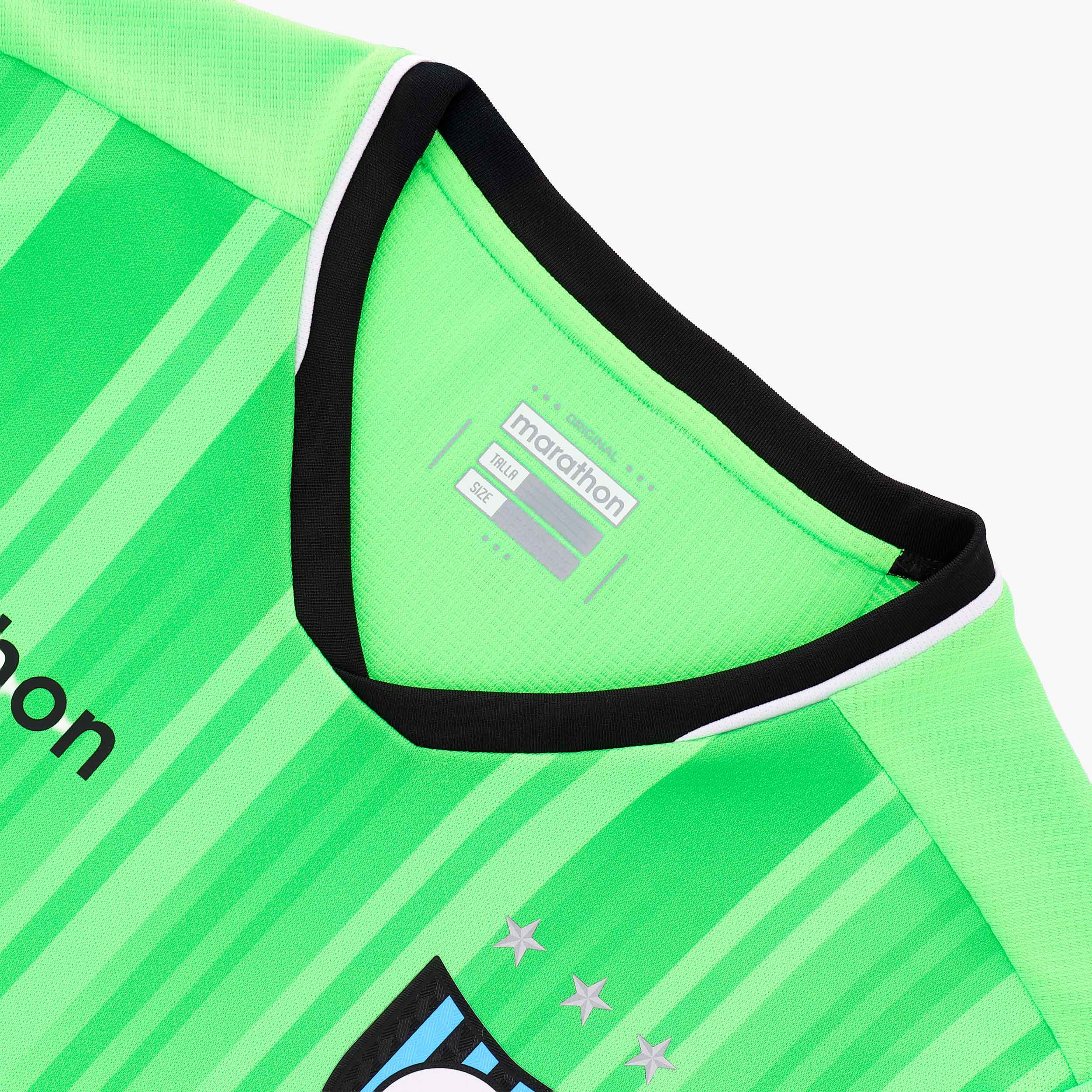 Camiseta Huachipato Alterna 2 2026, VERDE, hi-res