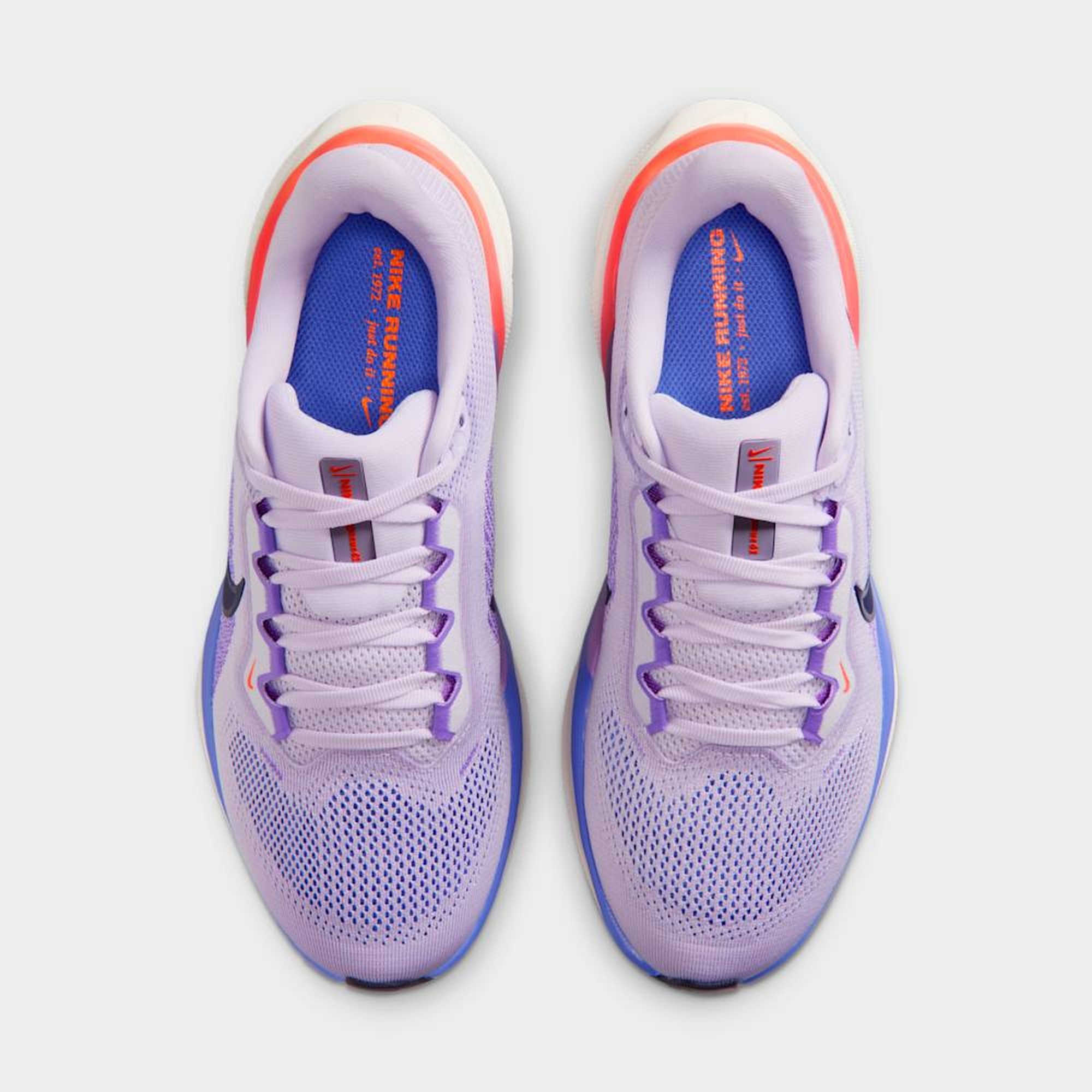 Nike Zapatillas Pegasus 41, SURTIDO, hi-res