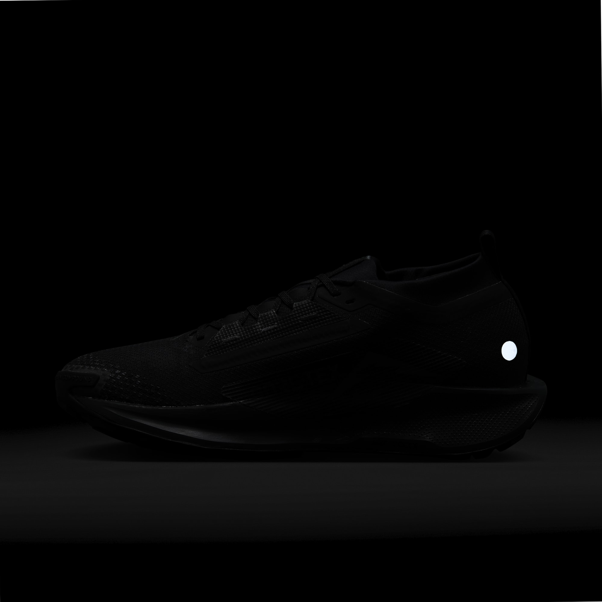 Nike Pegasus Trail 5 GORE-TEX, NEGRO, hi-res