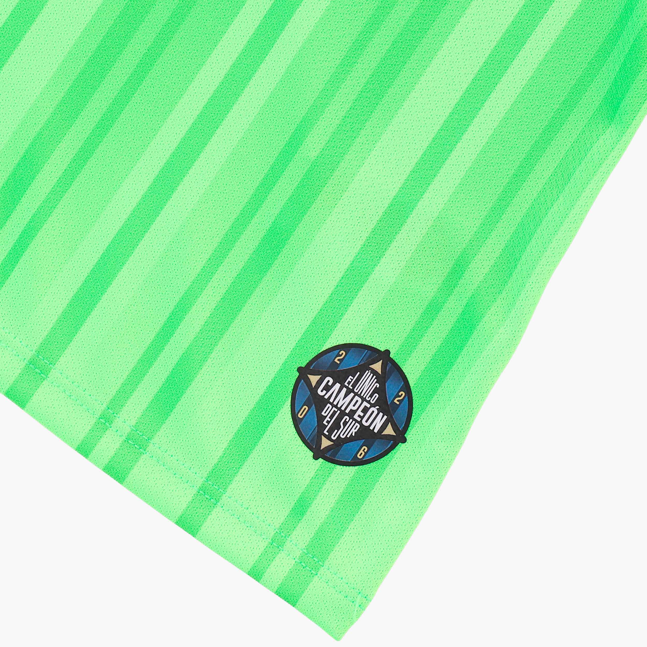 Camiseta Huachipato Alterna 2 2026, VERDE, hi-res