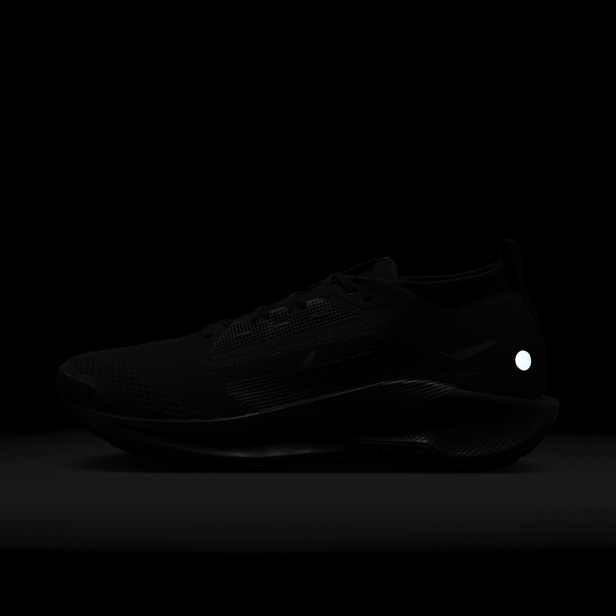 Nike Pegasus Trail 5 GORE-TEX, NEGRO, hi-res