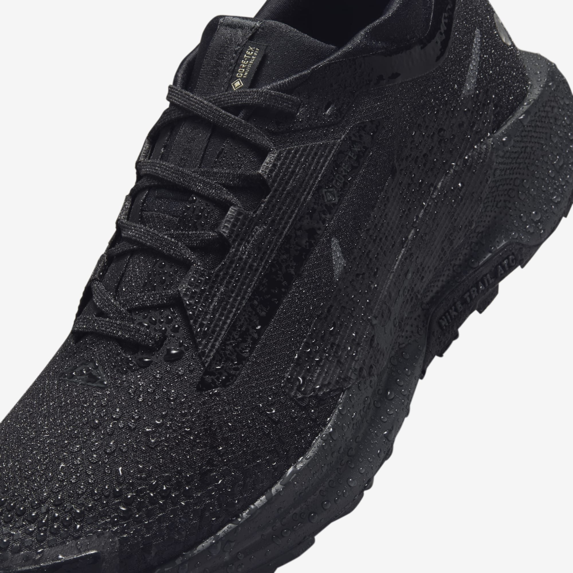 Nike Pegasus Trail 5 GORE-TEX, NEGRO, hi-res