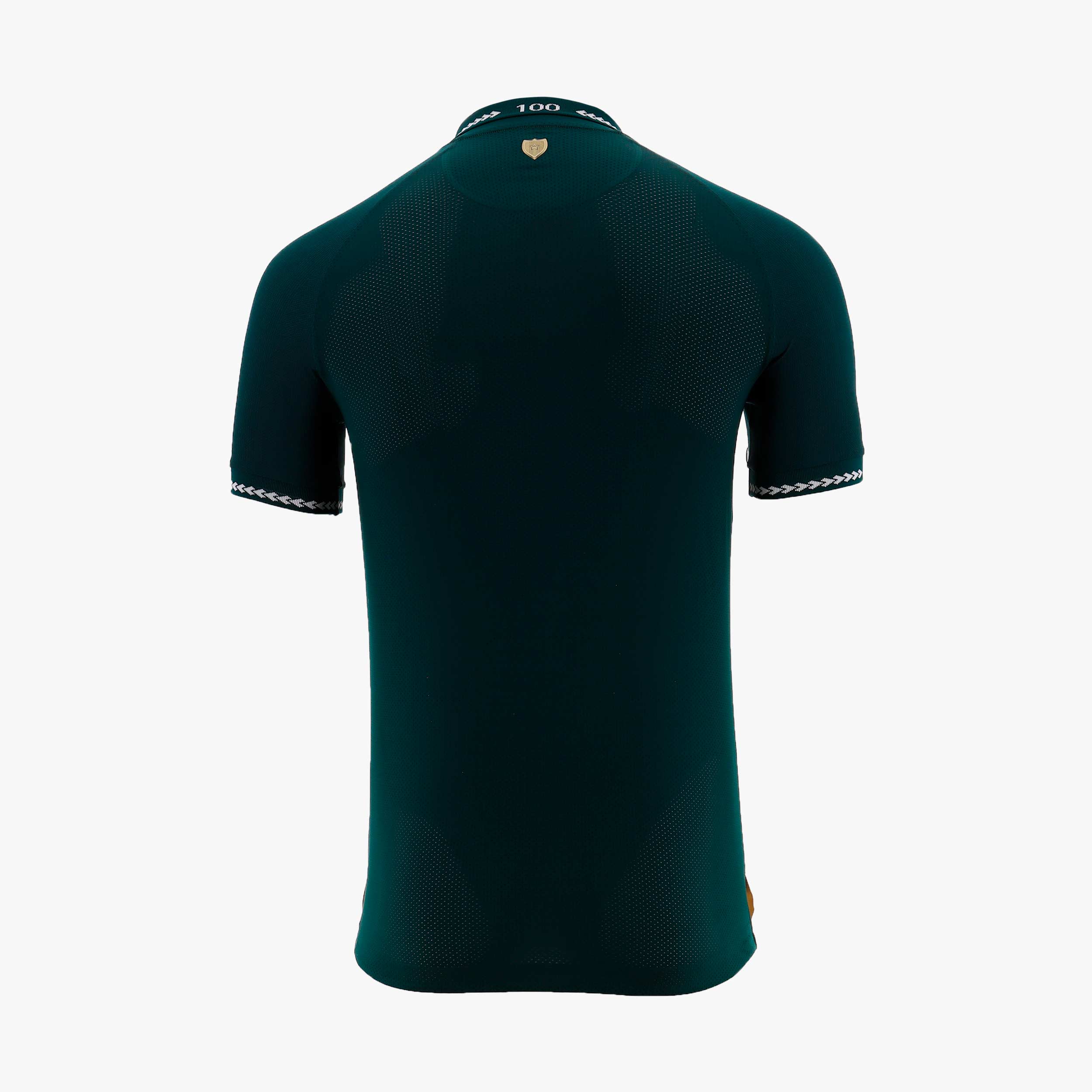 Camiseta FBF Oficial 100 años Versión Jugador, VERDE, hi-res