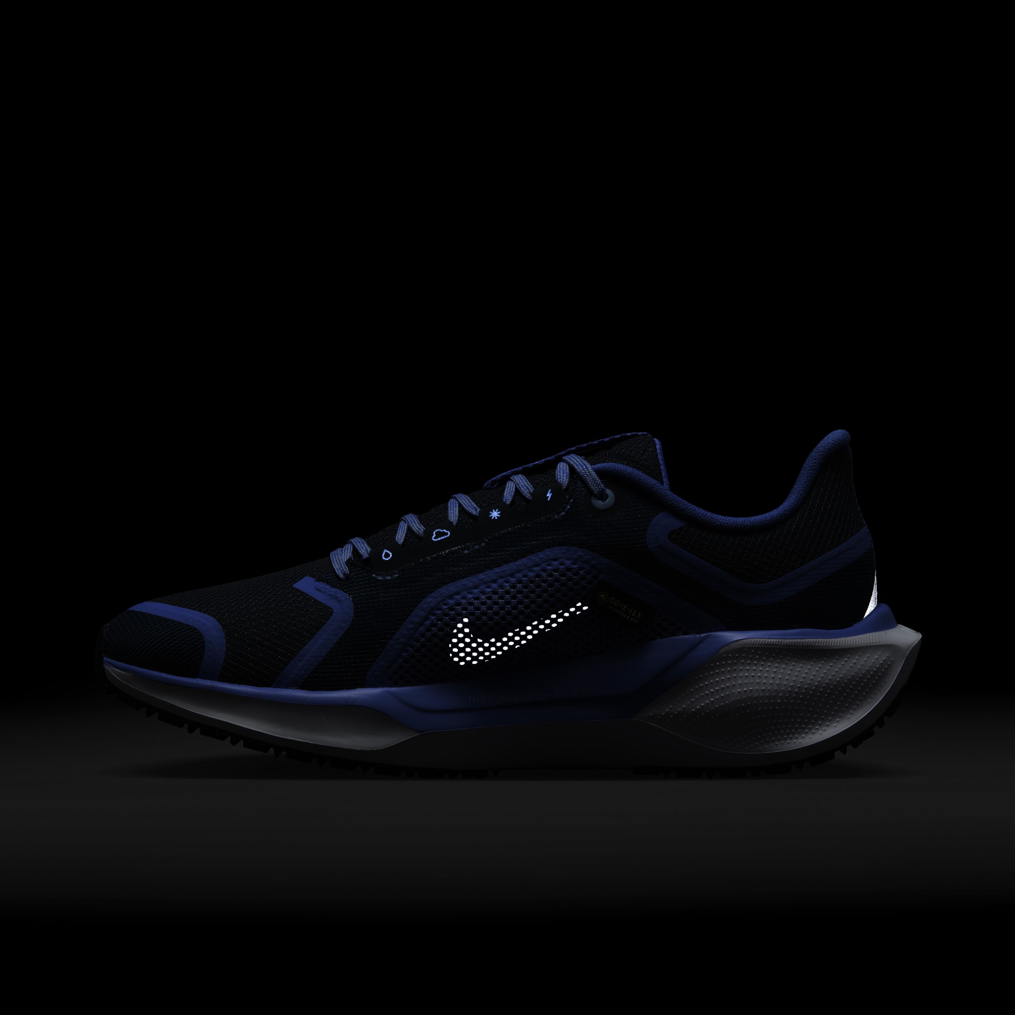 Nike Pegasus 41 Gore-Tex, AZUL, hi-res