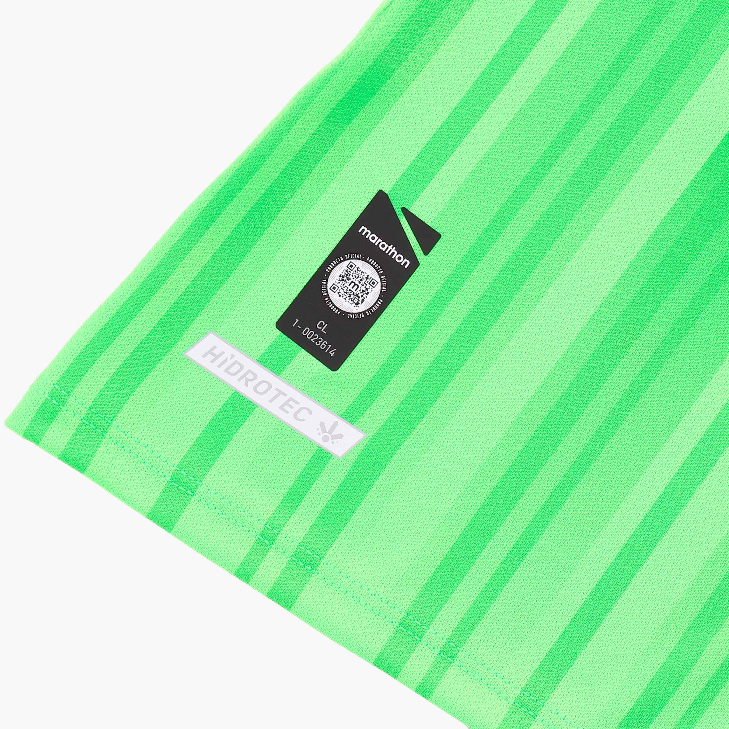 Camiseta Huachipato Alterna 2 2026, VERDE, hi-res