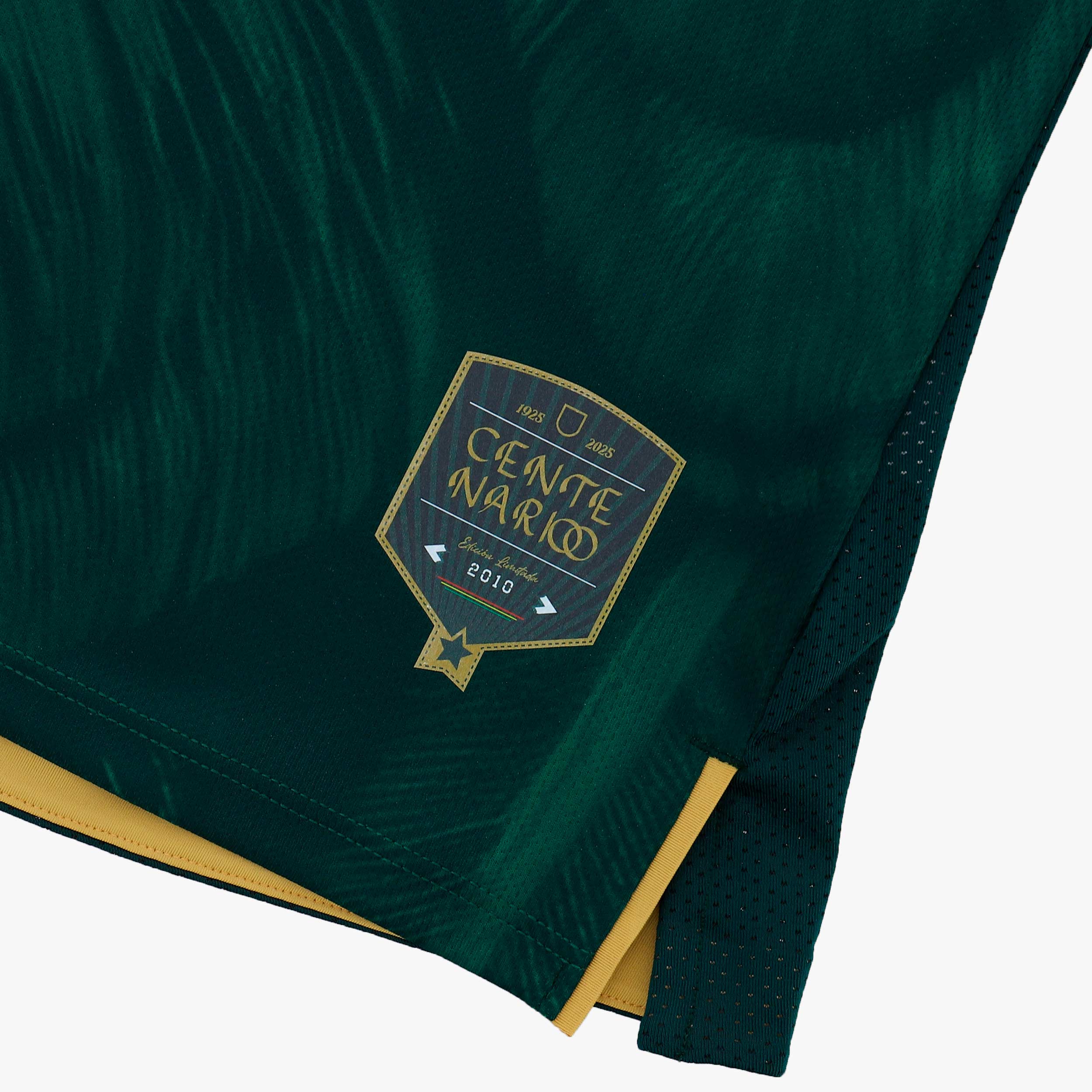 Camiseta FBF Oficial 100 años Versión Jugador, VERDE, hi-res