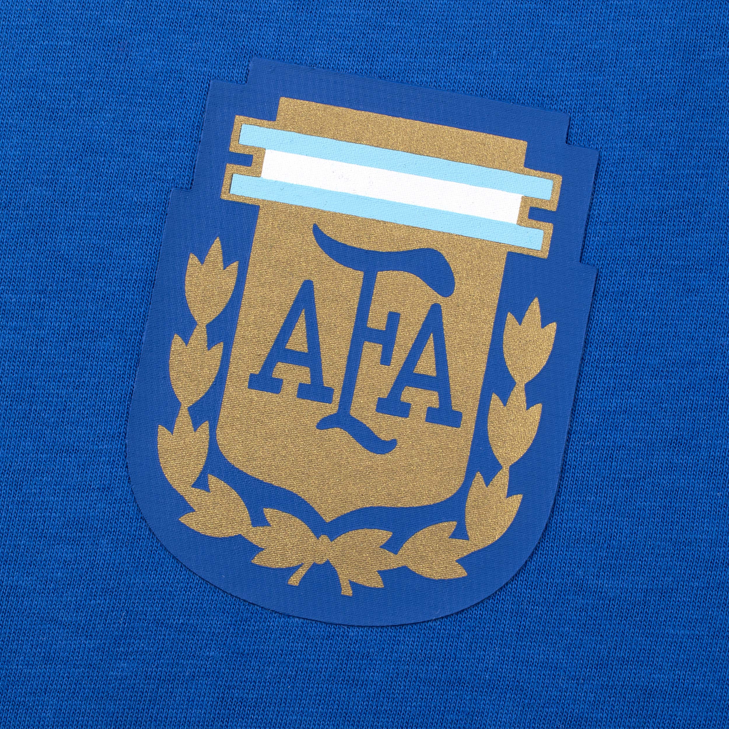 AFA Camiseta Argentina Player, AZUL, hi-res
